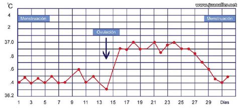 Gráfico de temperatura corporal basal mostrando un pico de ovulación