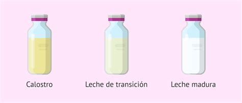 Diagrama de la composición nutricional y de anticuerpos del calostro comparada con la leche madura.