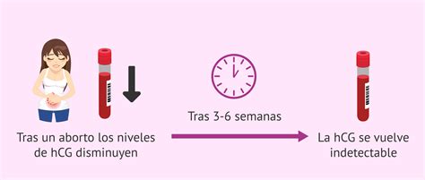 Infografía sobre los niveles de hCG después de un aborto según las semanas de gestación