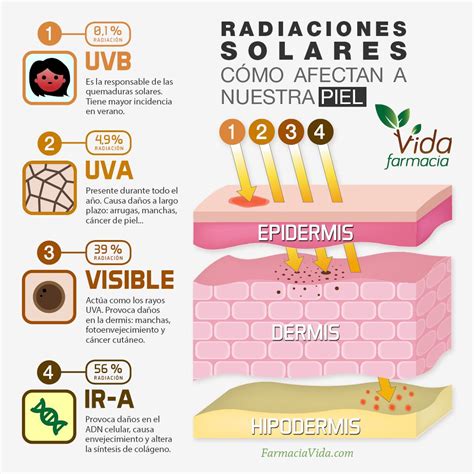 Infografía: Impacto de la radiación solar en la piel infantil
