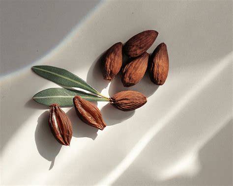 Detalle de ingredientes naturales como almendra, jojoba y árnica