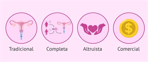 Infografía que detalla los diferentes tipos de gestación subrogada y las causas por las que se recurre a ella.