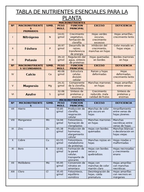 Tabla de nutrientes esenciales para el bebé