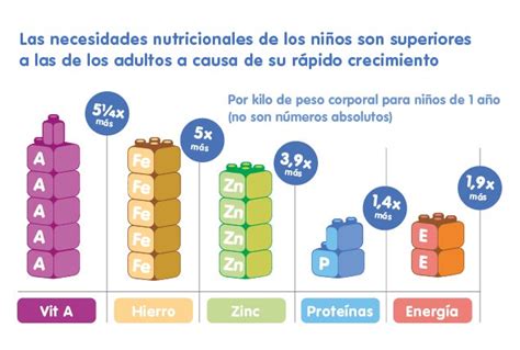 Infografía comparativa de las necesidades nutricionales entre niños y adultos.