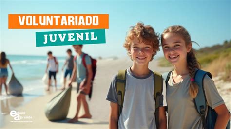 Esquema de las diversas áreas de voluntariado para el apoyo maternoinfantil