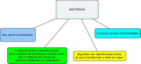 Esquema de las bacterias en un chupete
