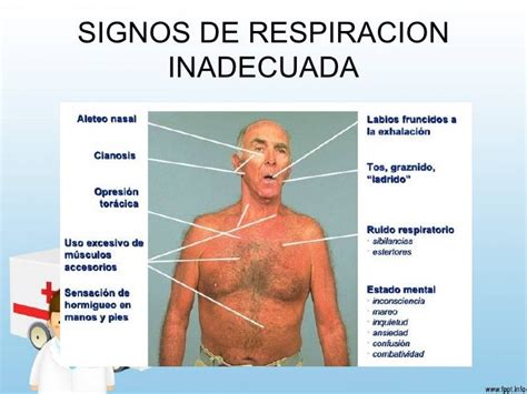 Ternero con dificultad respiratoria o signos de diarrea