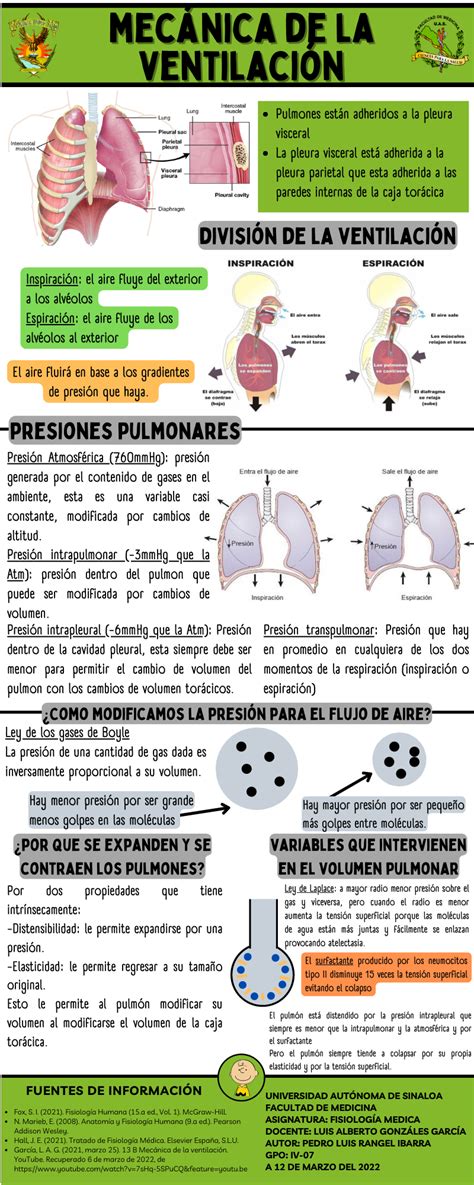 Infografía sobre la mecánica pulmonar y los principales parámetros medibles