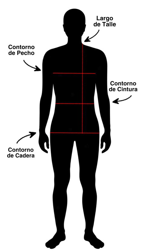 infografía con un bebé siendo medido (altura, pecho, cintura, cadera, brazo, pierna)