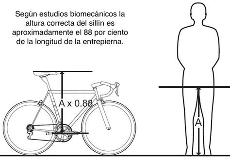 Infografía mostrando cómo ajustar la altura del sillín y el manillar de una bicicleta infantil.
