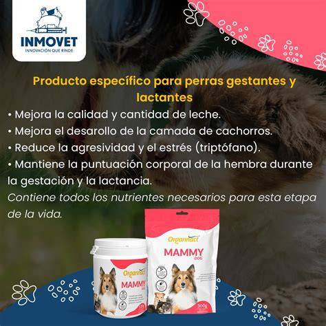 Esquema nutricional para perras gestantes y lactantes