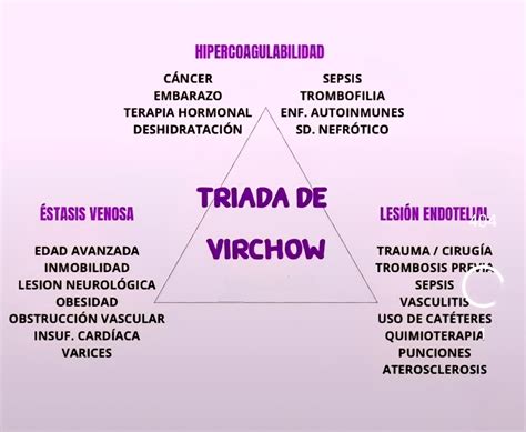 Esquema de la tríada madre-gemelos vs. díada madre-hijo único