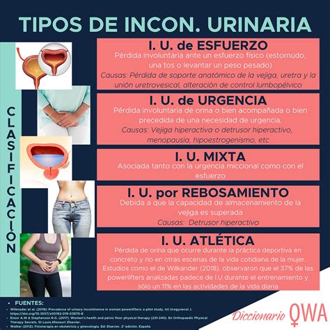 Esquema de los tipos de incontinencia urinaria (urgencia, esfuerzo, funcional)