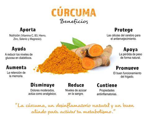 Infografía: Beneficios de la curcumina en la salud ginecológica