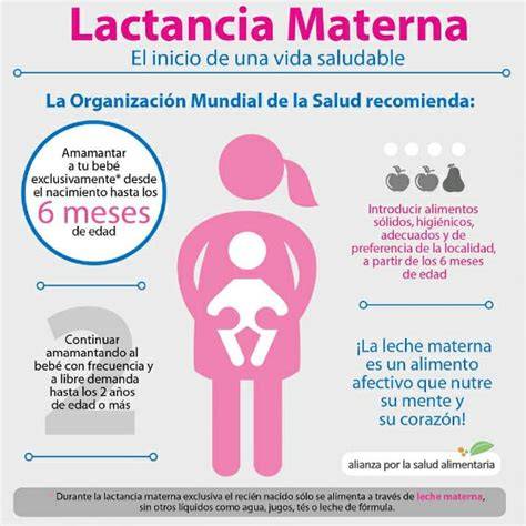 Esquema de las recomendaciones de lactancia materna según la OMS