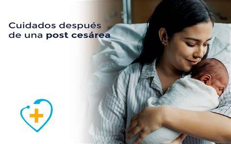 Cronología de la recuperación postparto