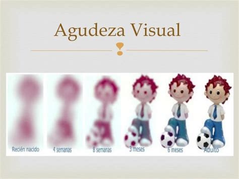 Infografía que detalla la progresión de la agudeza visual y el campo de visión de un bebé desde el nacimiento hasta los 12 meses.