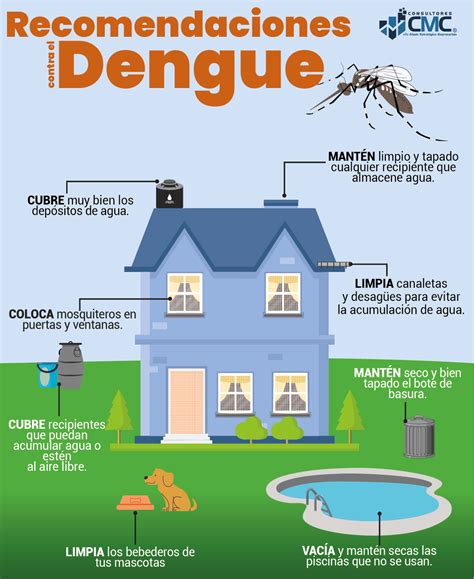 Infografía con consejos para prevenir avispas en casa (limpieza, sellado, mosquiteros)