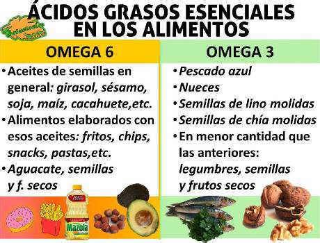 Infografía sobre los beneficios de los ácidos grasos esenciales (omega-3 y omega-6) y el ácido fólico para el desarrollo cerebral fetal