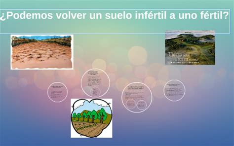 Gráfico comparativo de un suelo fértil y uno infértil, destacando la presencia de materia orgánica y vida microbiana.
