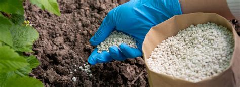 Infografía comparativa de fertilizantes orgánicos y sintéticos, destacando sus pros y contras.