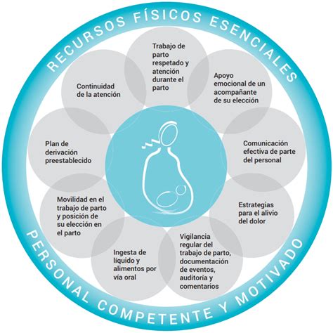 Representación esquemática de los riesgos para el bebé durante un parto prolongado, como la falta de oxígeno.
