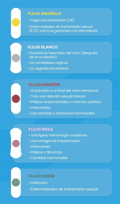 Esquema de los tipos de flujo vaginal en el embarazo