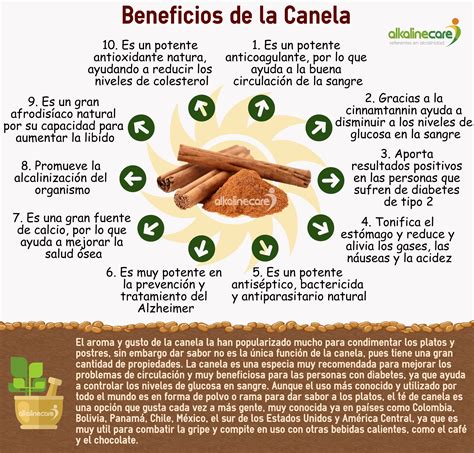 Infografía: Beneficios para la salud de la canela