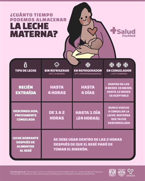 Gráfico que ilustra la relación entre la frecuencia y duración de la lactancia materna y el posible retraso en el retorno de la fertilidad.