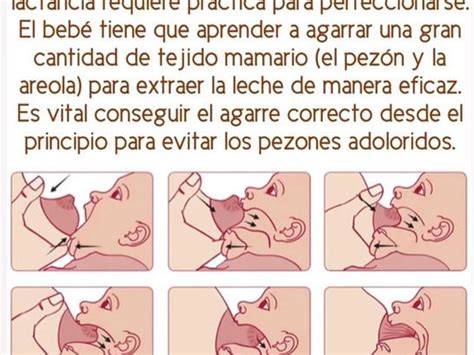 Esquema de un agarre correcto y uno superficial del bebé al pecho materno