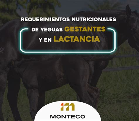 Gráfico que muestra la concentración de eCG en yeguas gestantes a lo largo del tiempo.