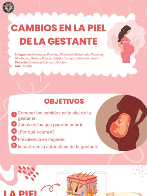 Infografía mostrando los cambios en la piel durante el embarazo