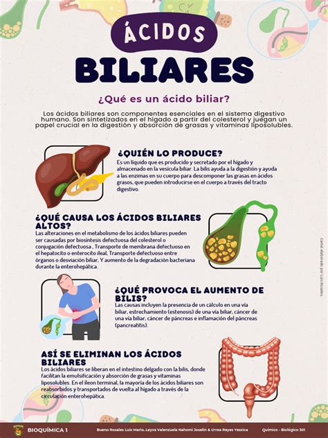 Gráfico explicando los niveles de ácidos biliares para el diagnóstico de colestasis