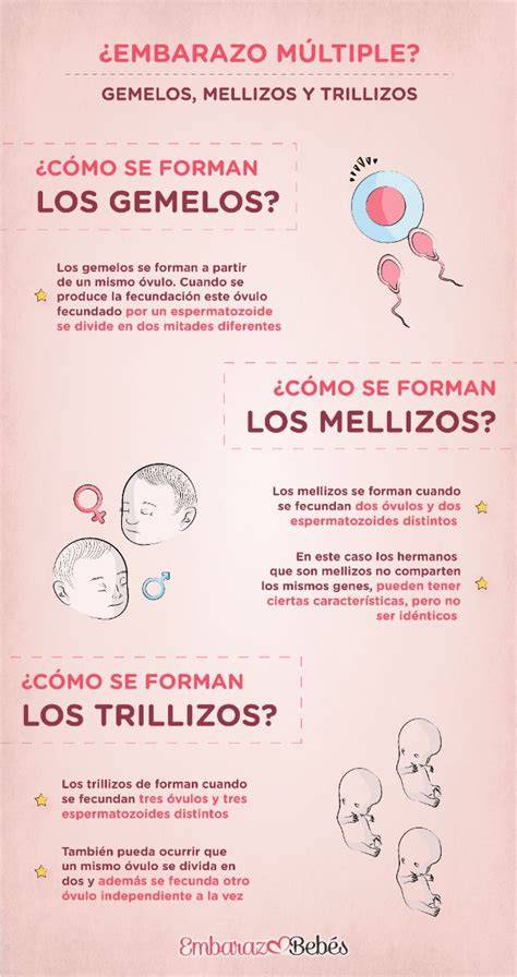 infografía que explica la diferencia entre trillizos idénticos (trigemelos) y trillizos fraternos, mostrando la división de óvulos y placentas