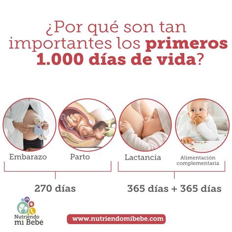 Cronograma visual de los primeros 1000 días de vida, destacando el desarrollo del bebé.