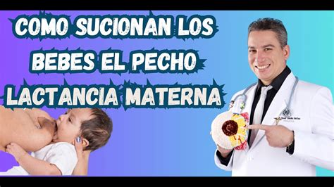 Esquema de las diferencias en la succión entre el pecho y el biberón