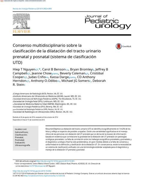 Infografía sobre la clasificación UTD para la dilatación del tracto urinario