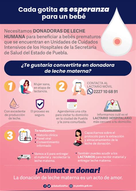 Esquema del proceso de donación y procesamiento de leche materna en un banco de leche