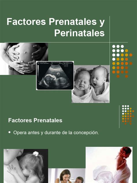 Tabla 1: Indicaciones de traslado materno debido a factores perinatales (representación gráfica).
