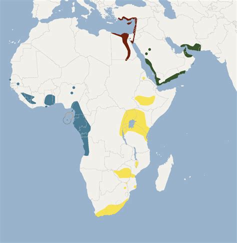 Mapa de distribución del murciélago frugívoro egipcio.