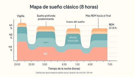 infografía sobre los ciclos de sueño del bebé