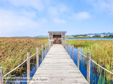 Paisaje de la Barrinha de Esmoriz con aves acuáticas