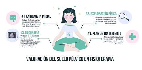 Infografía: Componentes de la valoración del suelo pélvico