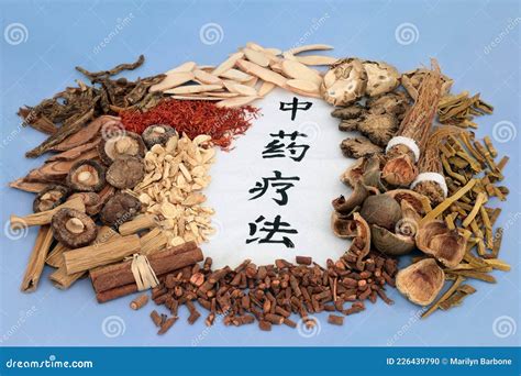 Ilustración detallada de diversas hierbas medicinales chinas utilizadas en tratamientos de fertilidad