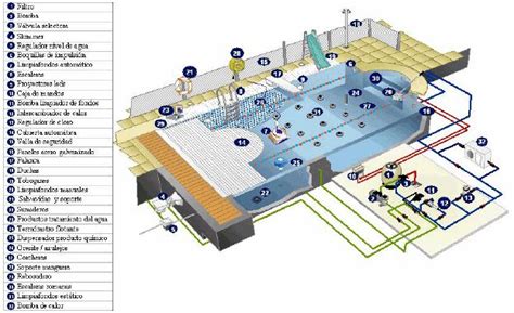 Esquema de un jacuzzi con flechas indicando zonas a evitar para embarazadas