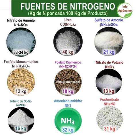 tabla comparativa de los principales tipos de fertilizantes (nitrógeno, fósforo, potasio) y sus funciones
