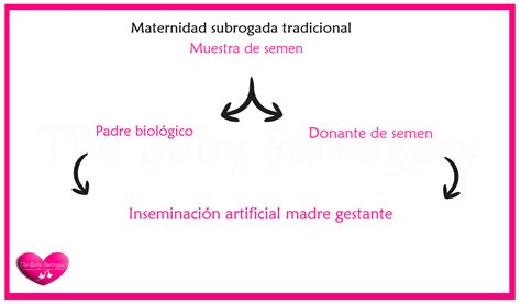 Esquema conceptual sobre la instrumentalización del cuerpo en la gestación subrogada.