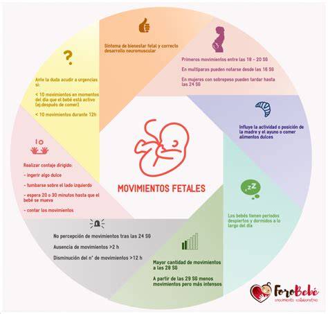 Gráfico de seguimiento de los movimientos fetales