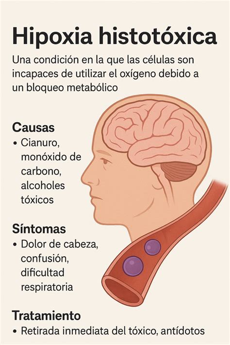 Esquema simplificado de las consecuencias de la hipoxia intermitente en el desarrollo infantil