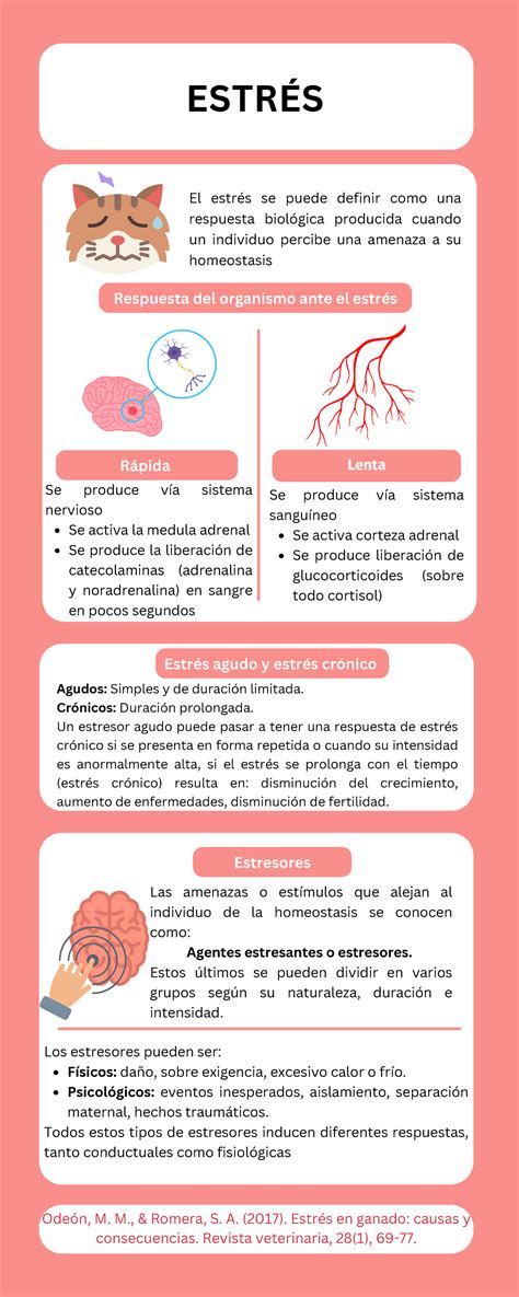 Infografía sobre los efectos del estrés en el embarazo